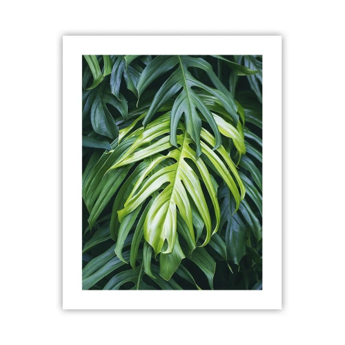 Poster - Tauchen Sie ein in die Frische - 40x50 cm