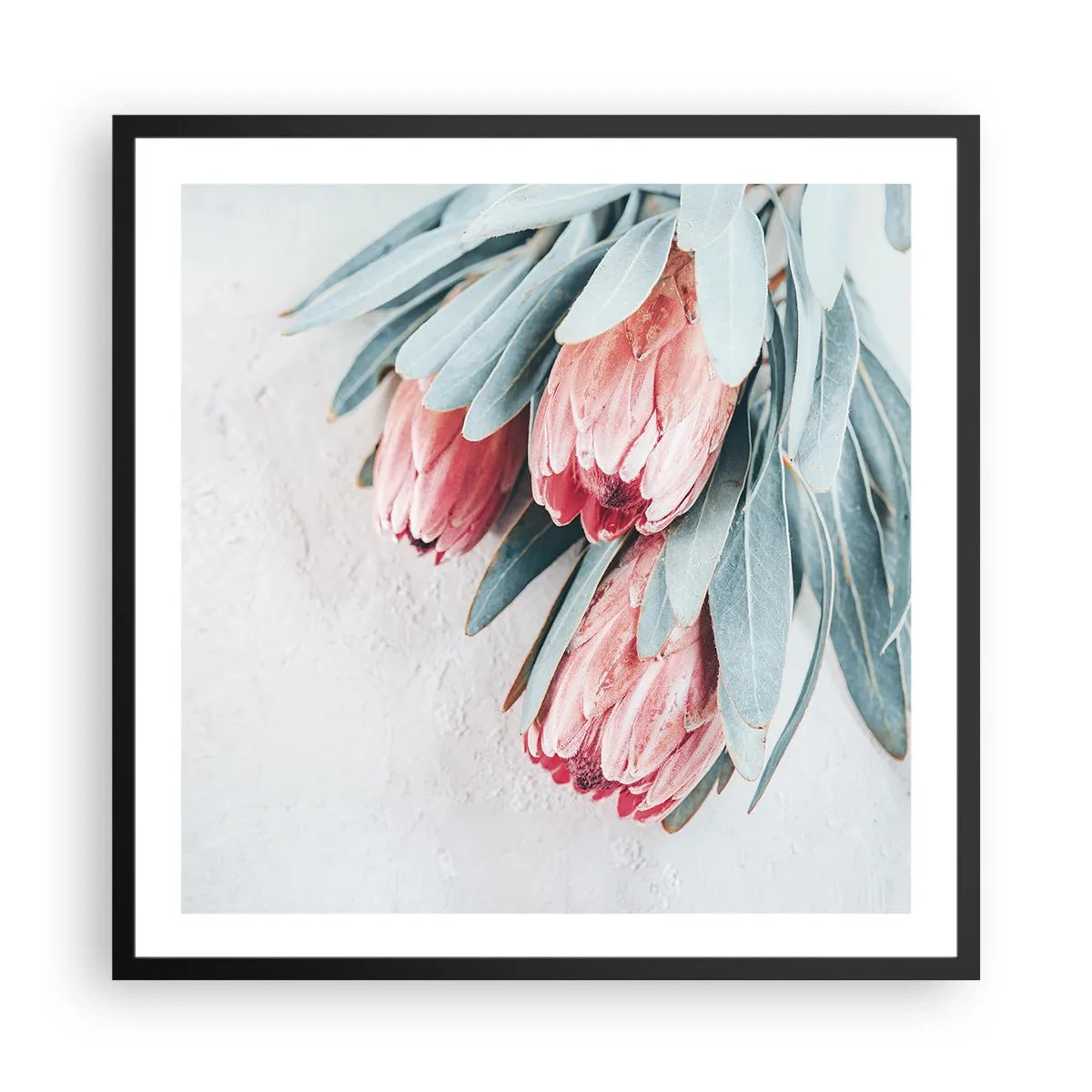 Poster in einem schwarzem Rahmen - Schämen sich für ihre eigene Schönheit - 60x60 cm