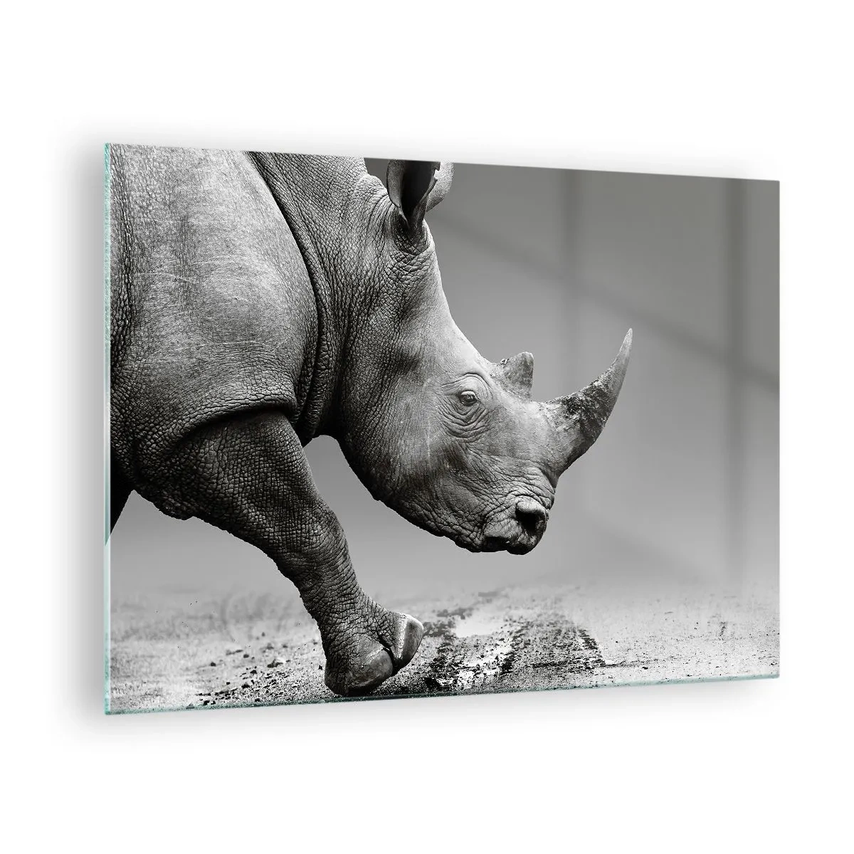 Glasbild - Bild auf glas - Ein Nashorn in Bewegung vor grauem Hintergrund - 70x50cm - Unaufhaltsame Stärke - Moderne Wanddekoration für Wohnzimmer und Schlafzimmer ARTTOR