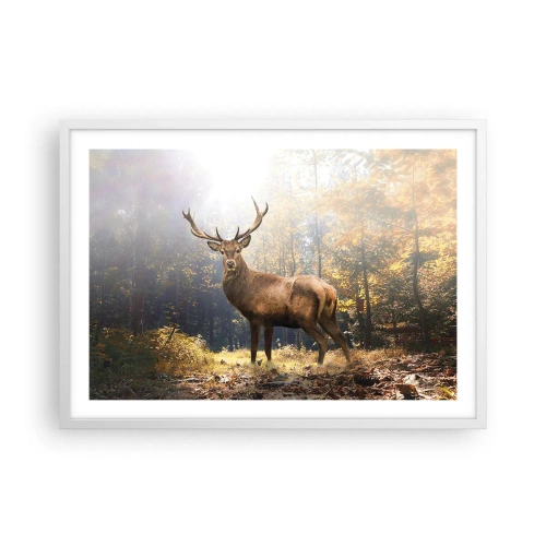 Poster in einem weißen Rahmen - In voller Majestät - 70x50 cm