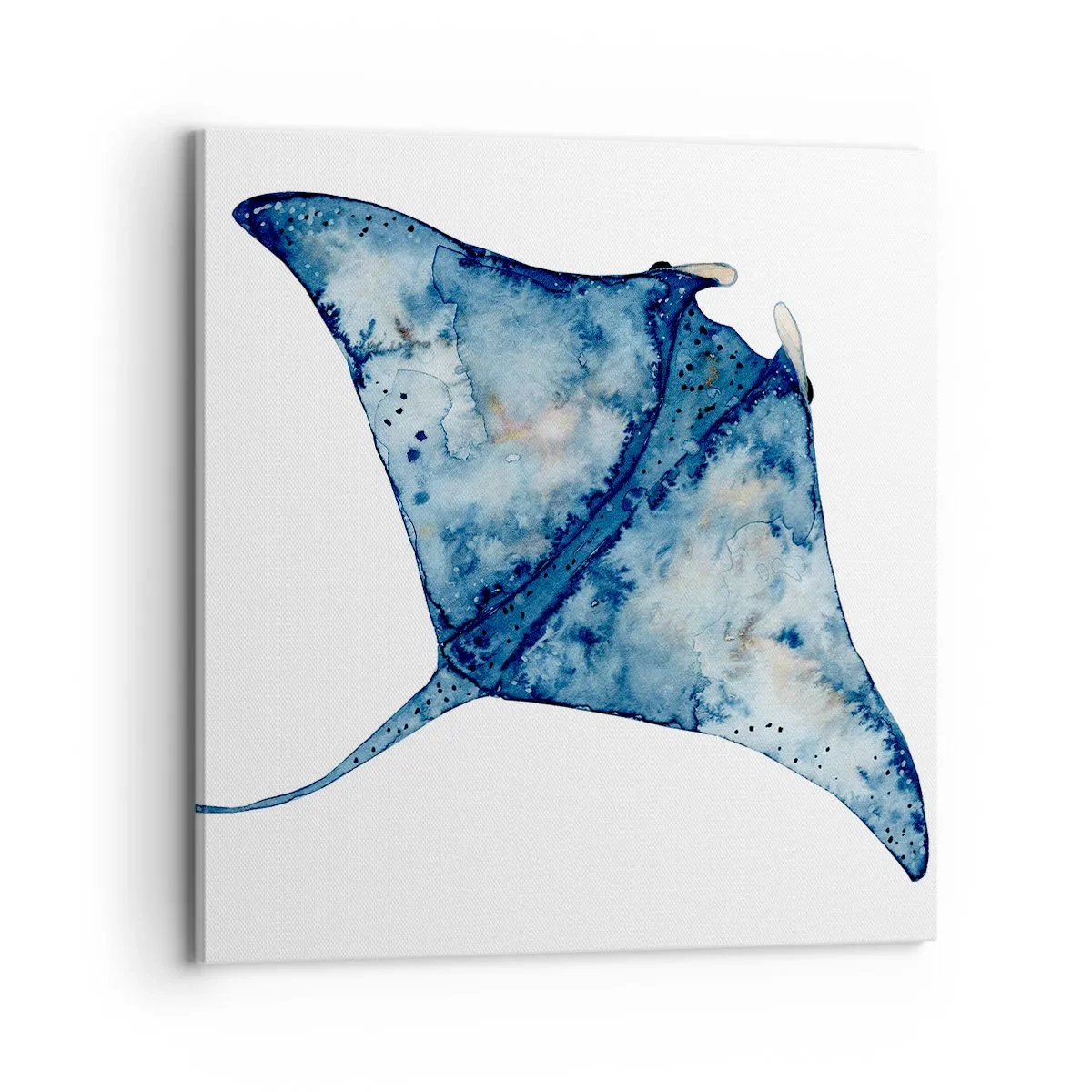 Bild auf Leinwand - Leinwandbild - Leben im Blau - 70x70 cm