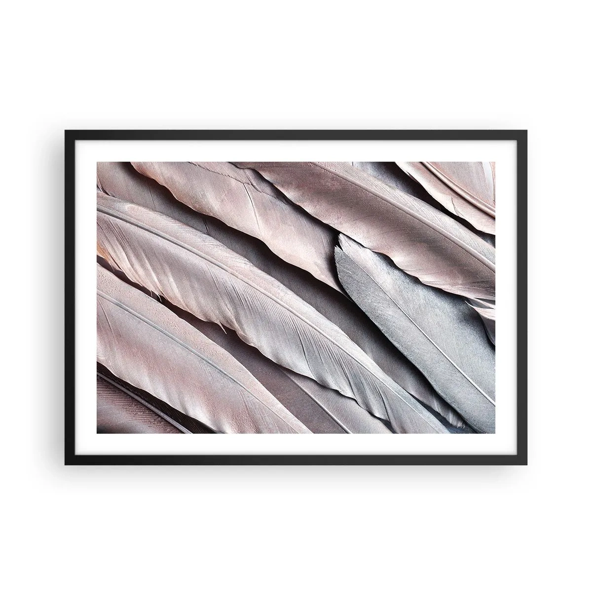 Poster in einem schwarzem Rahmen - Zarte Federn in dezenten Grau- und Beigetönen - 70x50cm - In rosa Silber - Moderne Wanddekoration für Wohnzimmer und Schlafzimmer ARTTOR