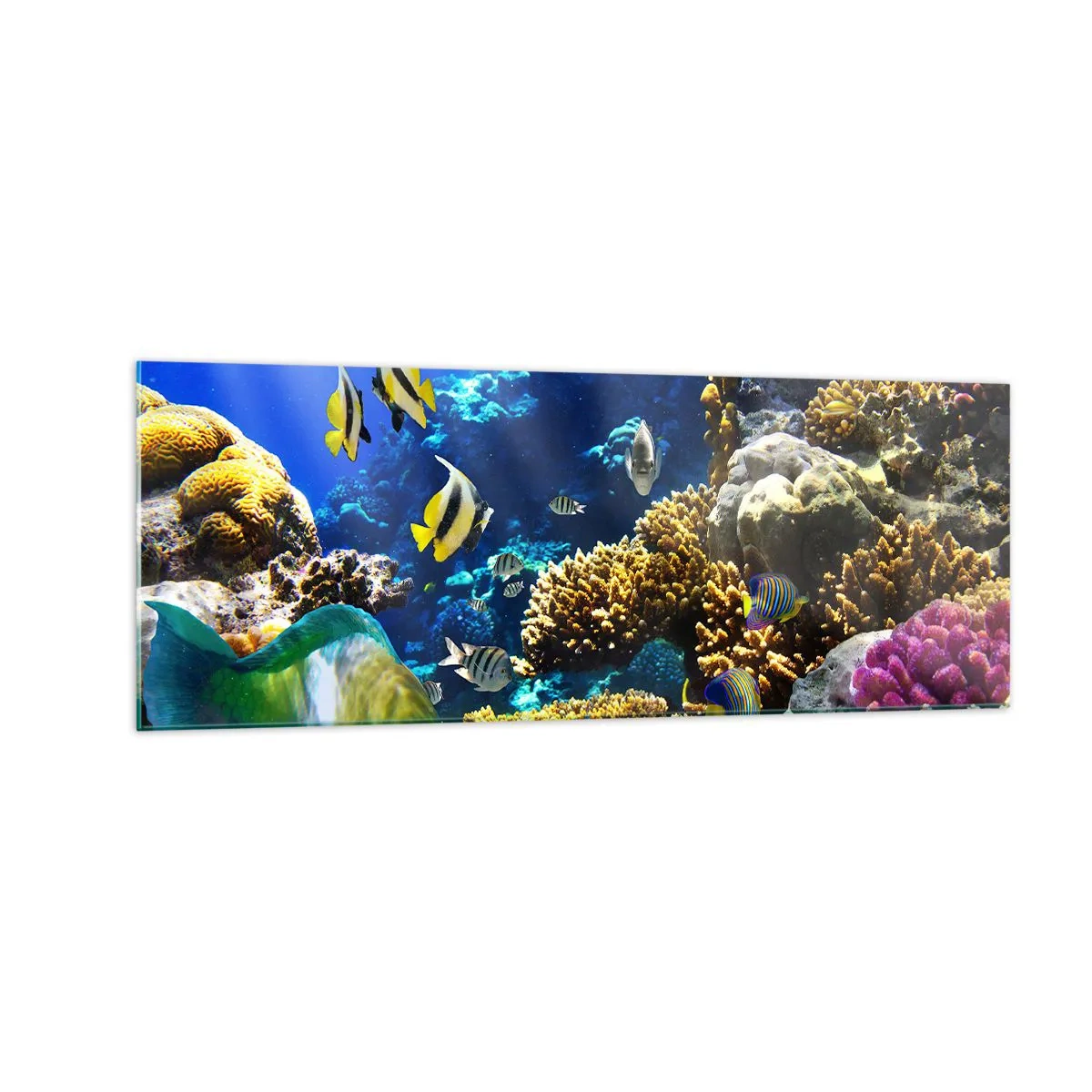Glasbild - Bild auf glas - Ein farbenfrohes Korallenriff mit tropischen Fischen in den Tiefen des Ozeans. - 140x50cm - Viel Verkehr auf dem Ferienweg - Moderne Wanddekoration für Wohnzimmer und Schlafzimmer ARTTOR