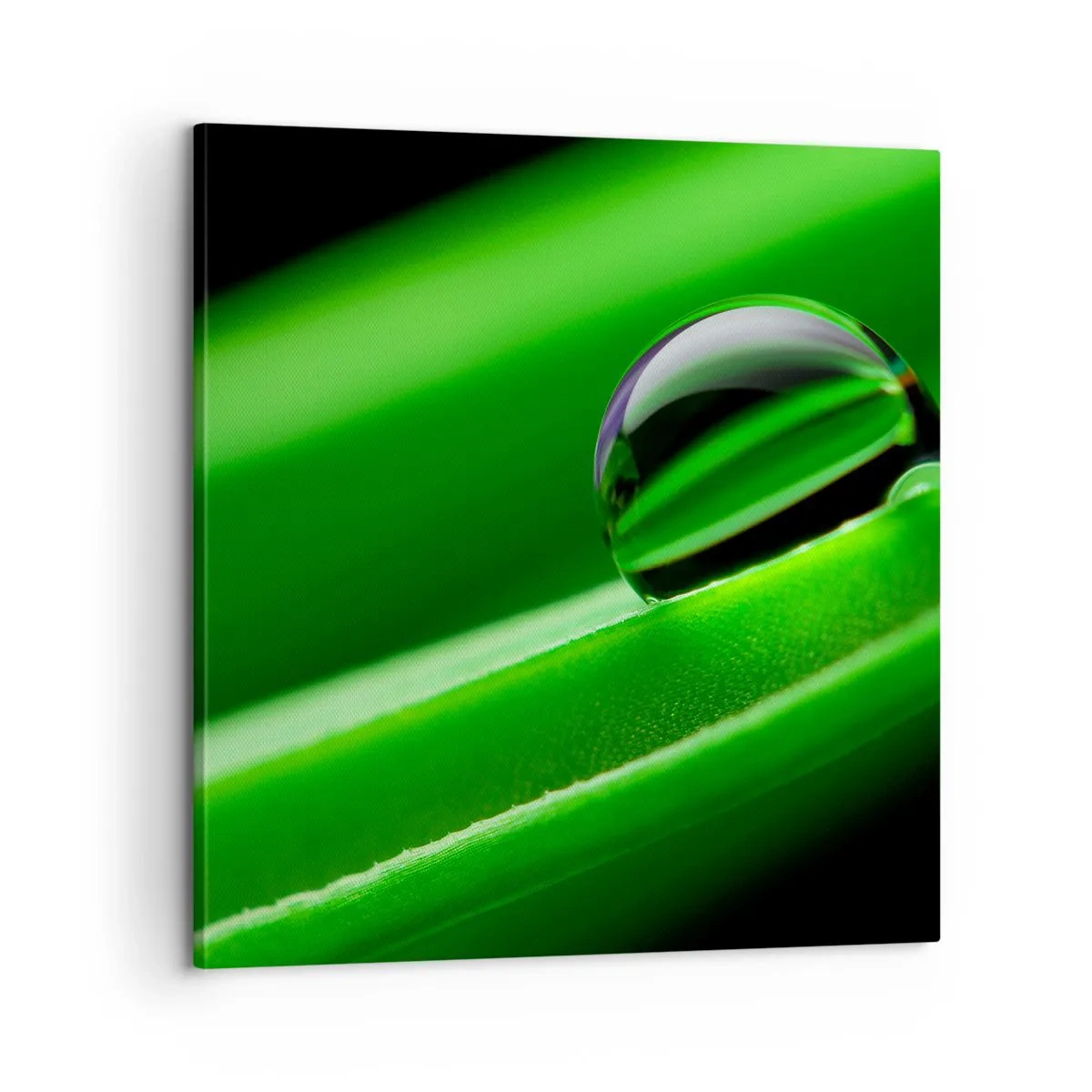 Bild auf Leinwand - Leinwandbild - Leben hautnah - 60x60 cm