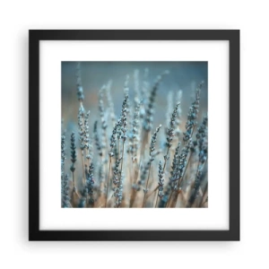 Poster in einem schwarzem Rahmen - Duftendes Kornfeld - 30x30 cm