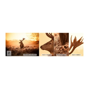 Fototapeten Muster Selbstklebend Deluxe Sticker - Herr im eigenen Land - Landschaft, Reh, Tiere - 100x30 cm