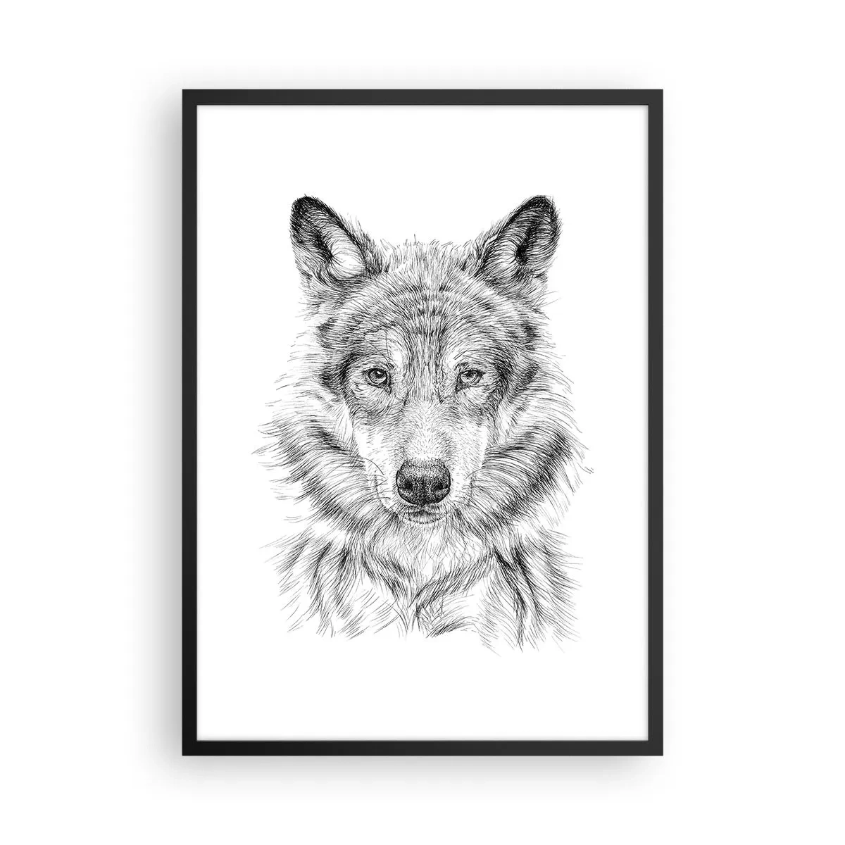 Poster in einem schwarzem Rahmen - Detaillierte Zeichnung eines Wolfes im Schwarz-Weiß-Stil - 50x70cm - Ein geborener Anführer - Moderne Wanddekoration für Wohnzimmer und Schlafzimmer ARTTOR