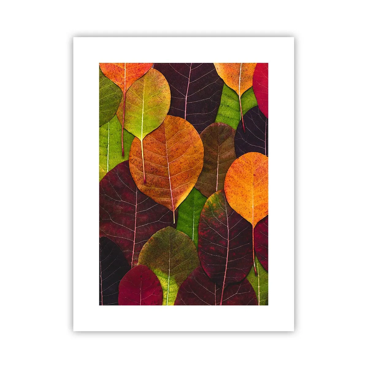 Poster - Herbstmosaik - 30x40 cm