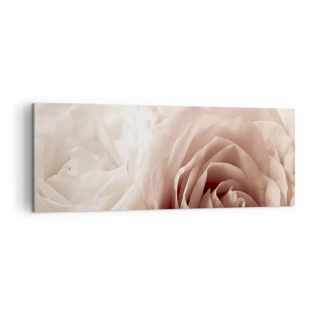 Bild auf Leinwand - Leinwandbild - Zarte Rosen in pastelligen Beigetönen - 140x50cm - Im Herzen der Rose - Moderne Wanddekoration für Wohnzimmer und Schlafzimmer ARTTOR