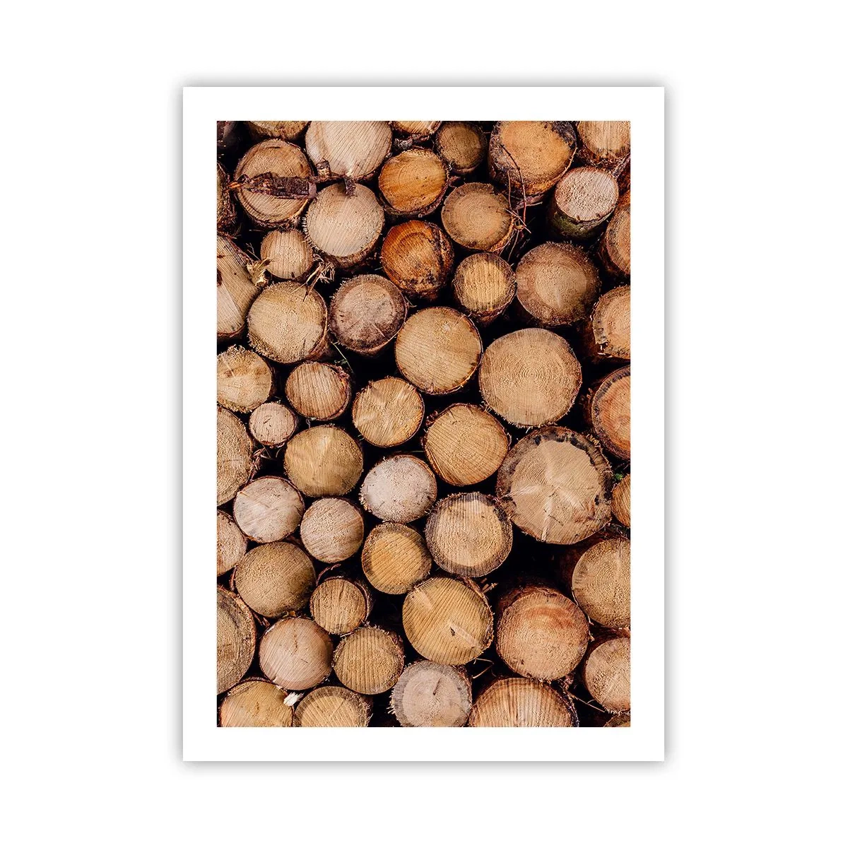 Poster - Natürlich geschnittene Baumstämme in kunstvoller Anordnung - 50x70cm - Ein neuer Anfang - Moderne Wanddekoration für Wohnzimmer und Schlafzimmer ARTTOR