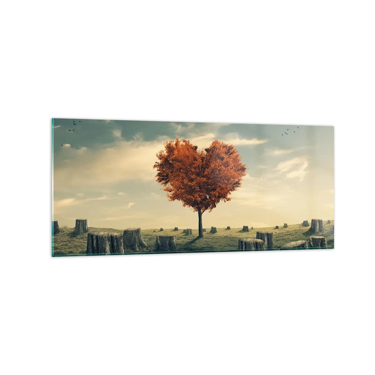 Glasbild - Bild auf glas - Ein herzförmiger Baum in einem Feld aus Baumstümpfen, ein Symbol der Hoffnung - 120x50cm - Es gibt noch Hoffnung - Moderne Wanddekoration für Wohnzimmer und Schlafzimmer ARTTOR