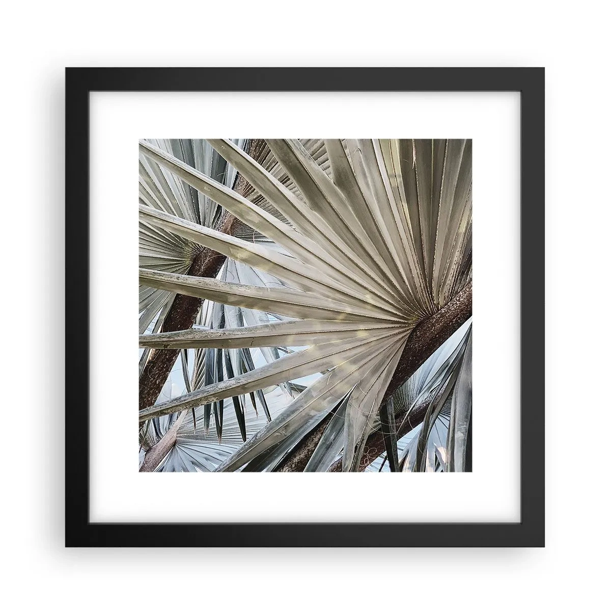 Poster in einem schwarzem Rahmen - Fans in den Tropen - 30x30 cm