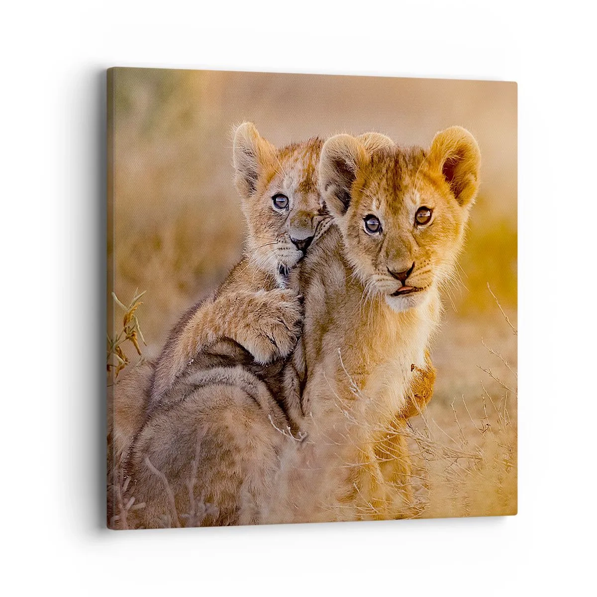 Bild auf Leinwand - Leinwandbild - Bitte nicht stören! Wir haben Spaß - 40x40 cm