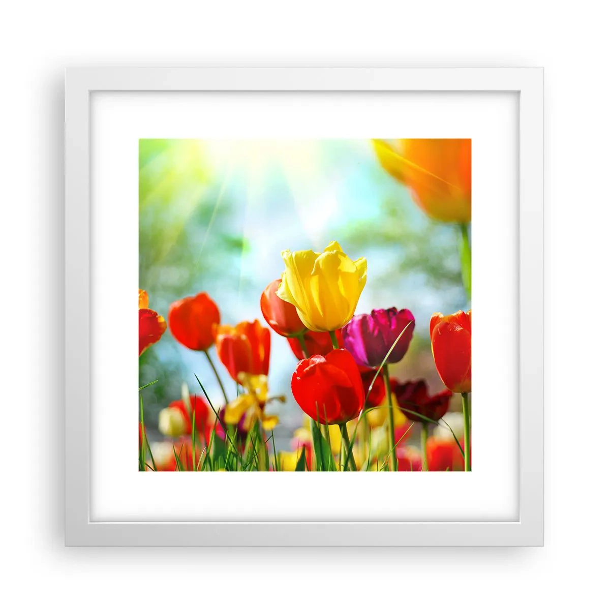 Poster in einem weißen Rahmen - Alle Farben der Sonne - 30x30 cm