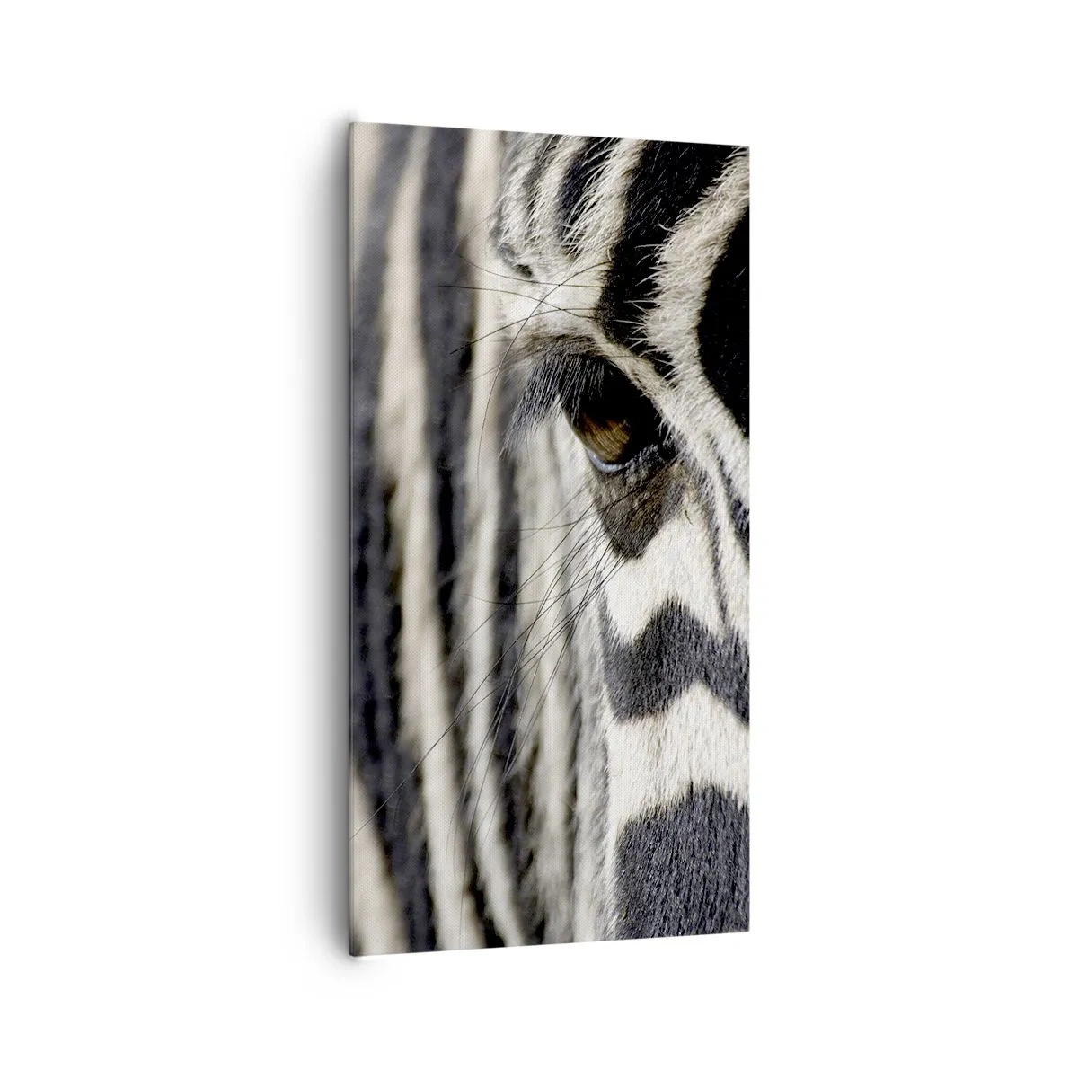 Bild auf Leinwand - Leinwandbild - Gestreiftes Porträt - 65x120 cm