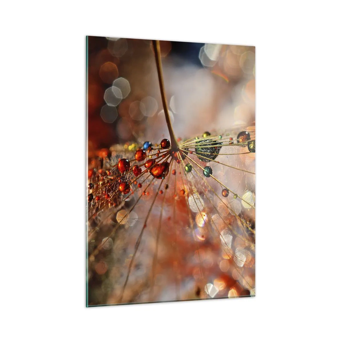 Glasbild - Bild auf glas - Wassertropfen auf einem zarten Spinnennetz im Bokeh-Licht - 50x70cm - Auf einem Spinnenfaden aufgefädelt - Moderne Wanddekoration für Wohnzimmer und Schlafzimmer ARTTOR