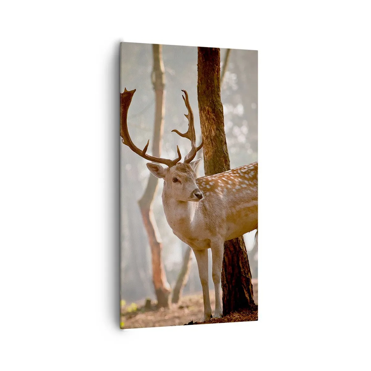 Bild auf Leinwand - Leinwandbild - Das Licht der Jugend - 65x120 cm