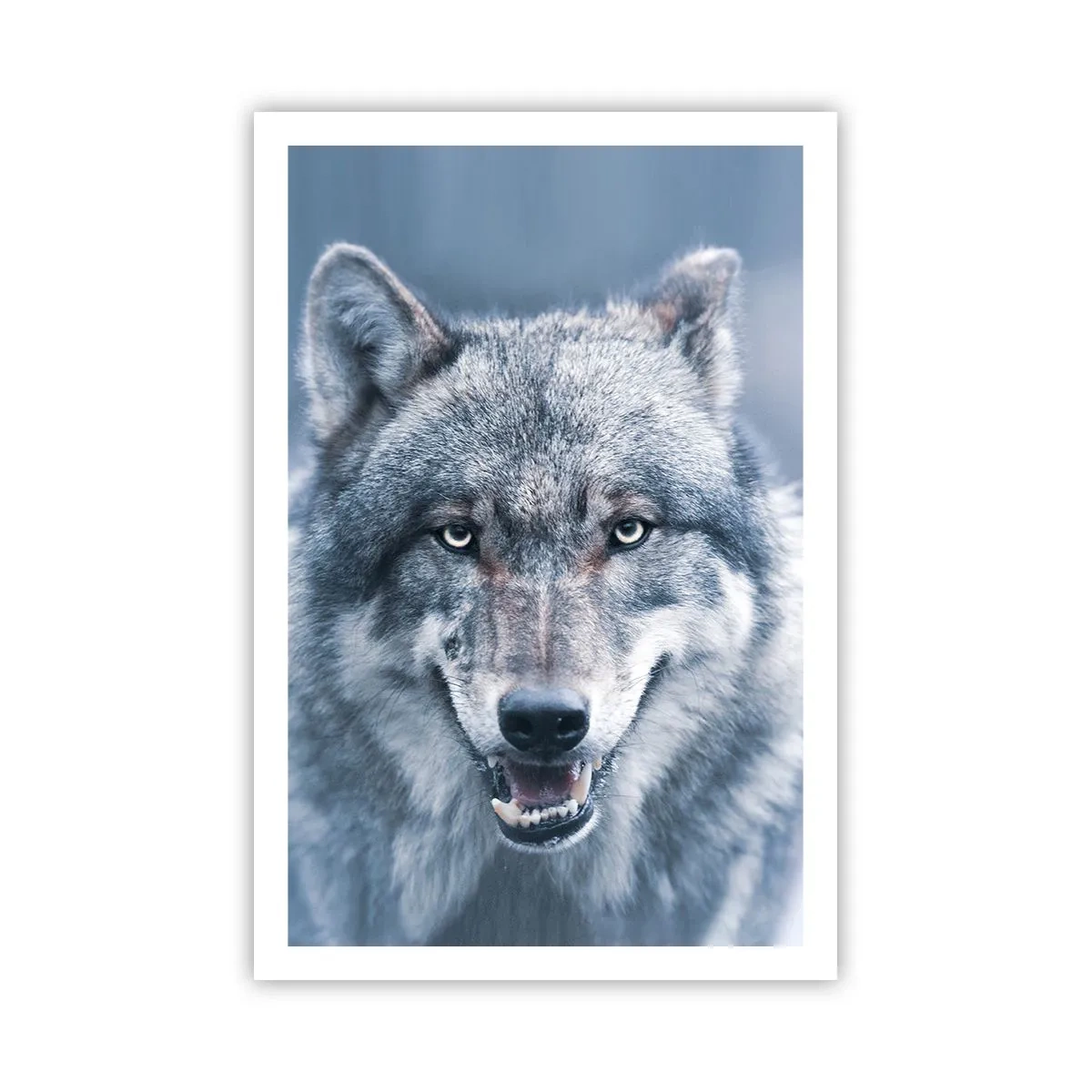 Poster - Werden Sie die Herausforderung annehmen? - 61x91 cm