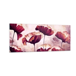 Glasbild - Bild auf glas - Rotes und weißes Blütenblatt - 100x40 cm