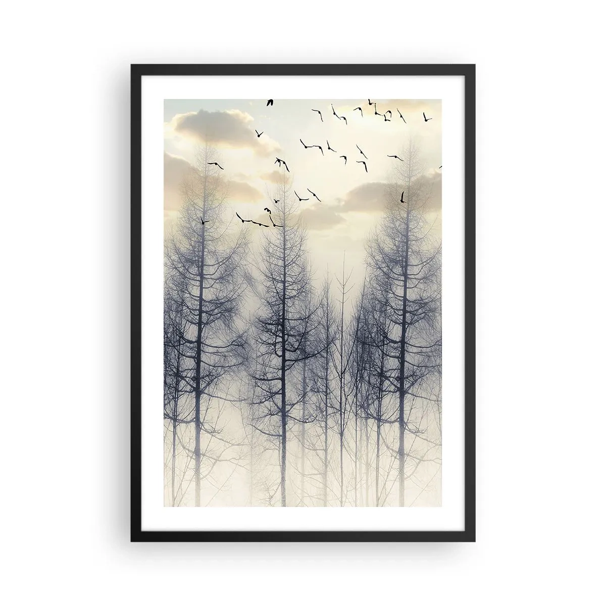 Poster in einem schwarzem Rahmen - Ein nebliger Wald mit hohen Bäumen und fliegenden Vögeln am Morgen - 50x70cm - Waldgeister - Moderne Wanddekoration für Wohnzimmer und Schlafzimmer ARTTOR