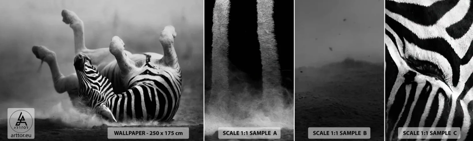 Fototapetenmuster Standard Eco - Nicht nur das Pferd würde lachen - Tiere, Rippen, Natur - 100x30 cm