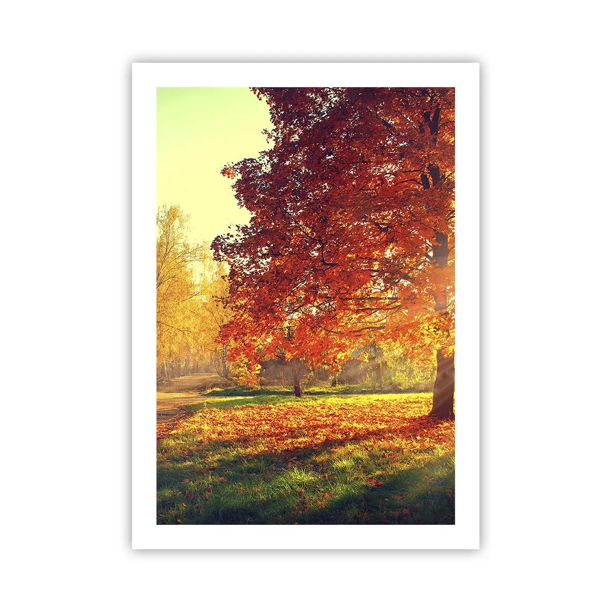 Poster - Herbstpark mit einem Baum mit goldenen Blättern in der Sonne - 50x70cm - Unhöflich ist schön - Moderne Wanddekoration für Wohnzimmer und Schlafzimmer ARTTOR