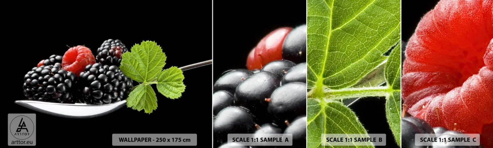 Fototapetenmuster Standard Eco - Der Geschmack der Frische - Obst, Brombeere, Himbeere - 100x30 cm