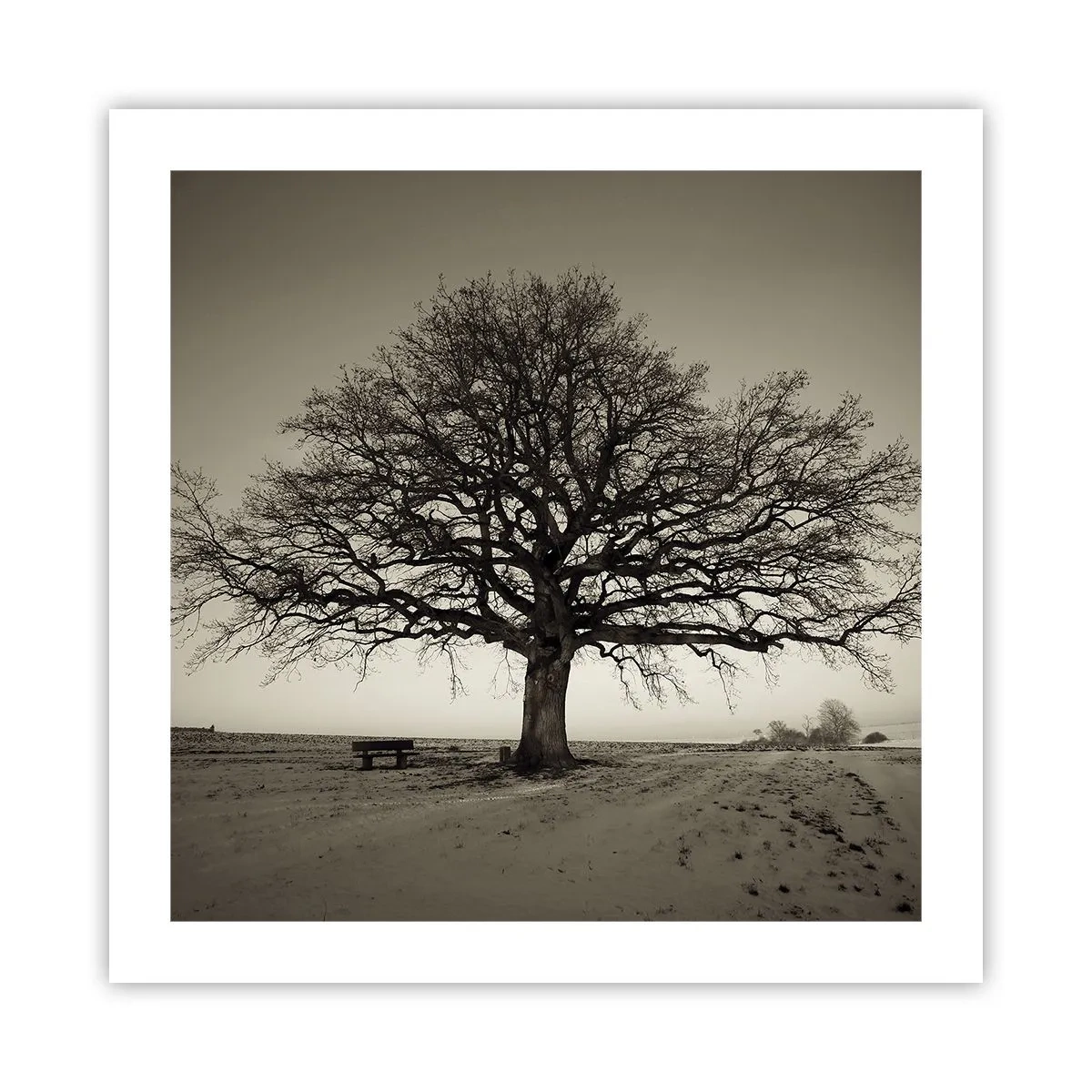 Poster - Von hier zu Ewigkeit - 50x50 cm