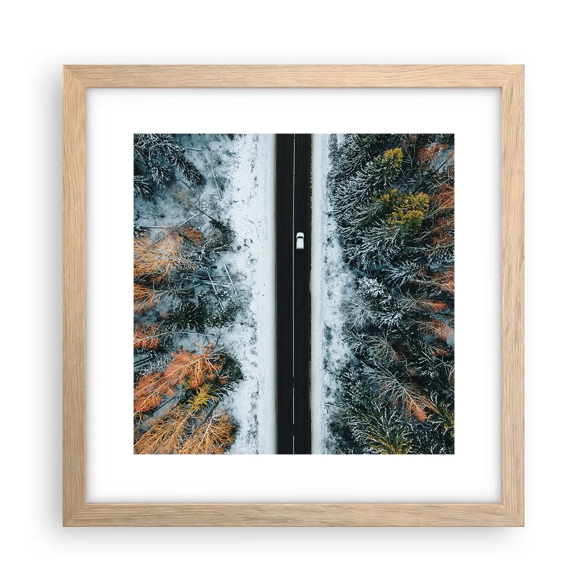Poster in einem Rahmen aus heller Eiche - Schnitt durch den Winterwald - 30x30 cm