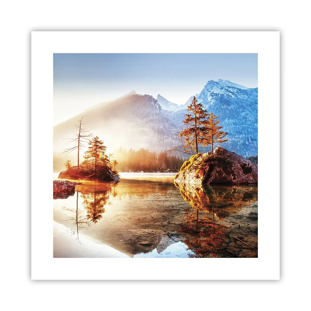 Poster - Natur in neuem Licht - 40x40 cm