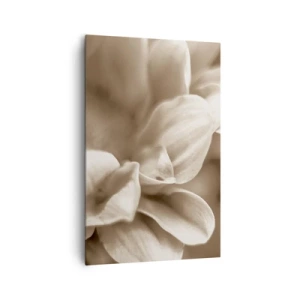 Bild auf Leinwand - Leinwandbild - Nahaufnahme von Blüten in zartem Sepia-Ton mit weichen Konturen - 80x120cm - So sanft wie ein Lächeln - Moderne Wanddekoration für Wohnzimmer und Schlafzimmer ARTTOR