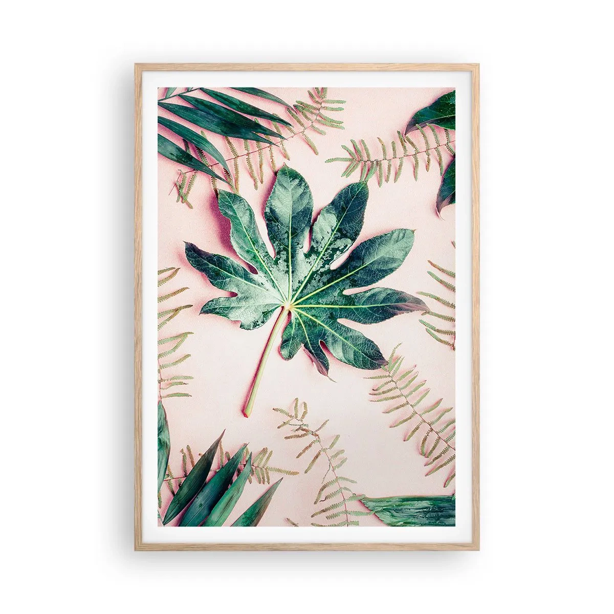 Poster in einem Rahmen aus heller Eiche - Eine Studie von Grün auf einem rosa Hintergrund - 70x100 cm