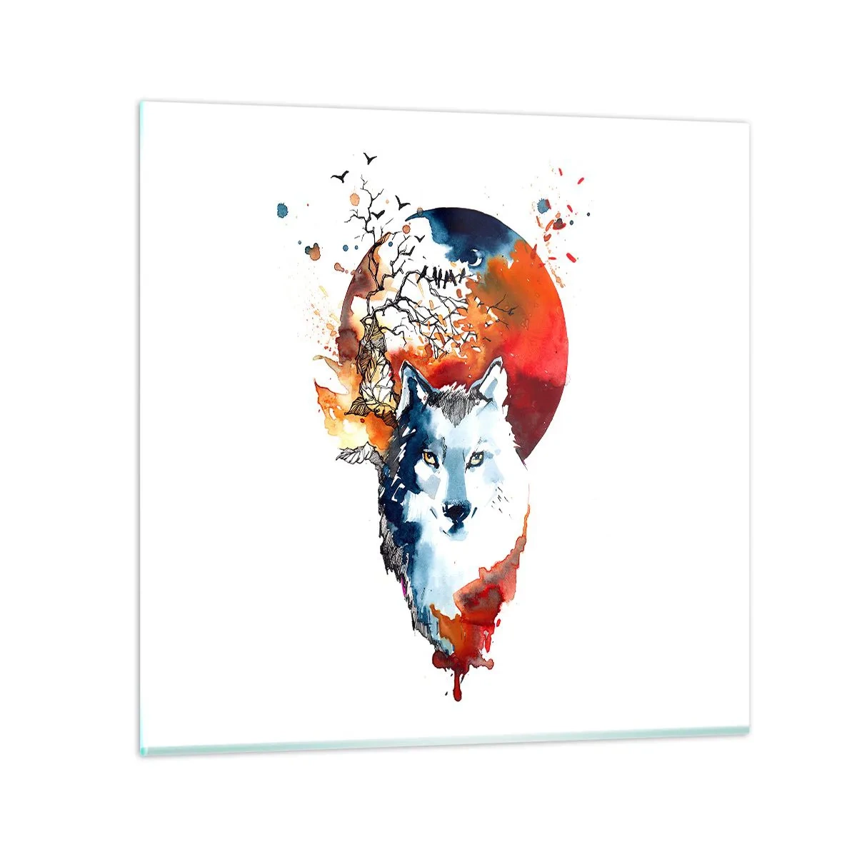 Glasbild - Bild auf glas - Nase an Nase mit der Nacht - 70x70 cm