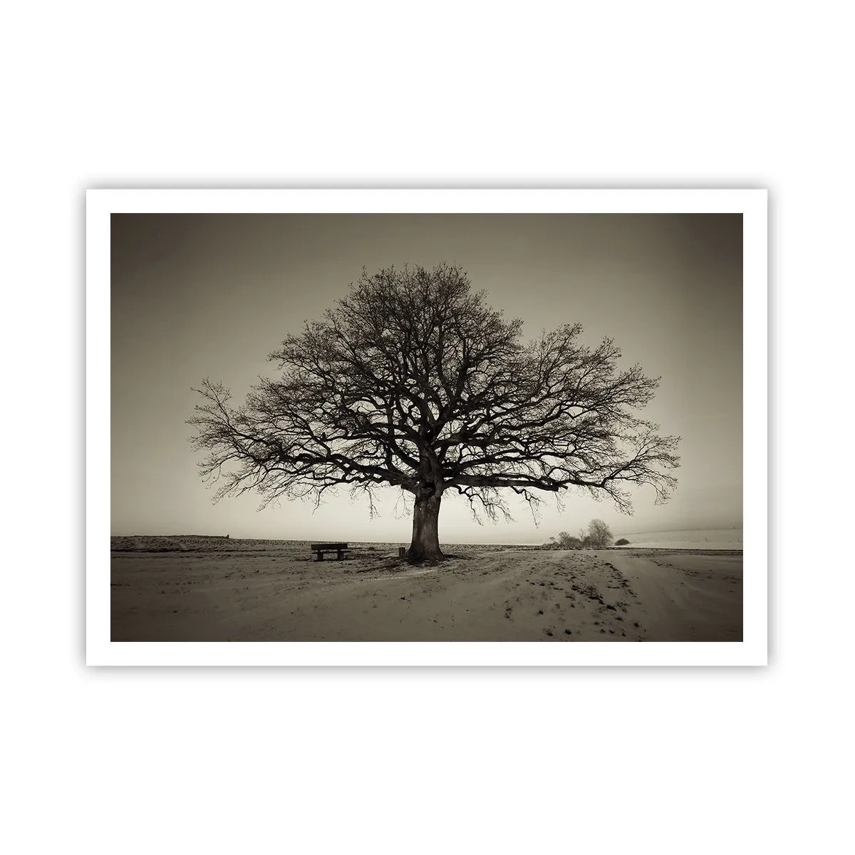 Poster - Ein einsamer Baum in einem Sepia-Feld - 100x70cm - Von hier zu Ewigkeit - Moderne Wanddekoration für Wohnzimmer und Schlafzimmer ARTTOR