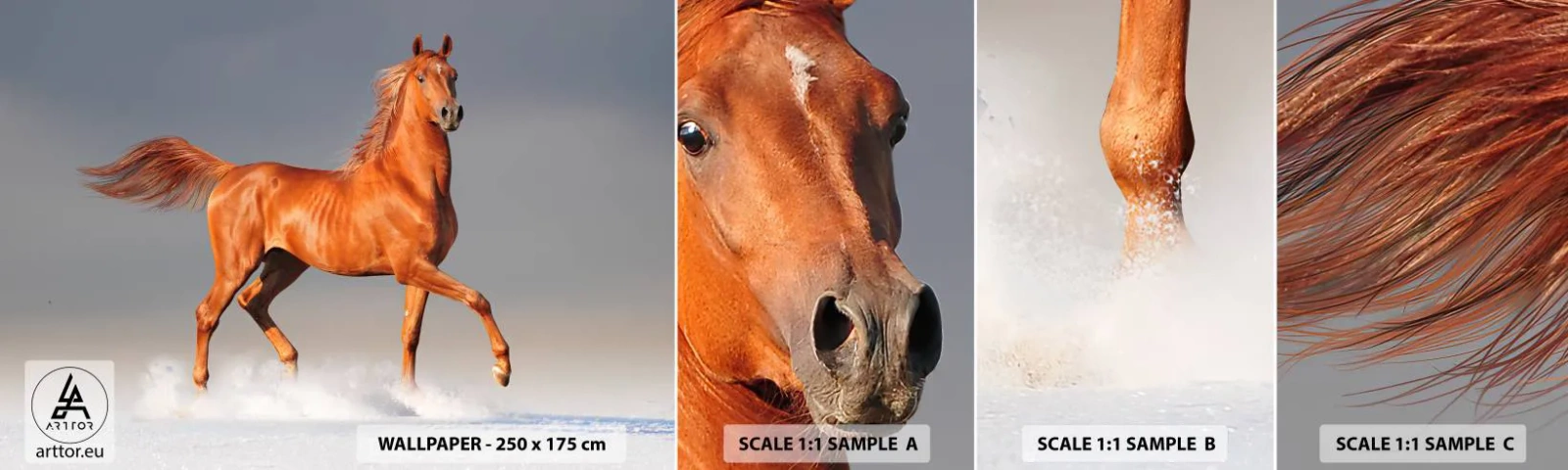 Fototapetenmuster Standard Eco - Tanzende Anmut - Tiere, Pferd, Natur - 100x30 cm