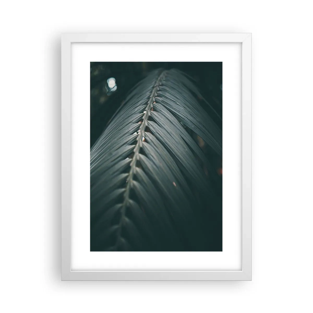 Poster in einem weißen Rahmen - Die Präzision der Natur - 30x40 cm