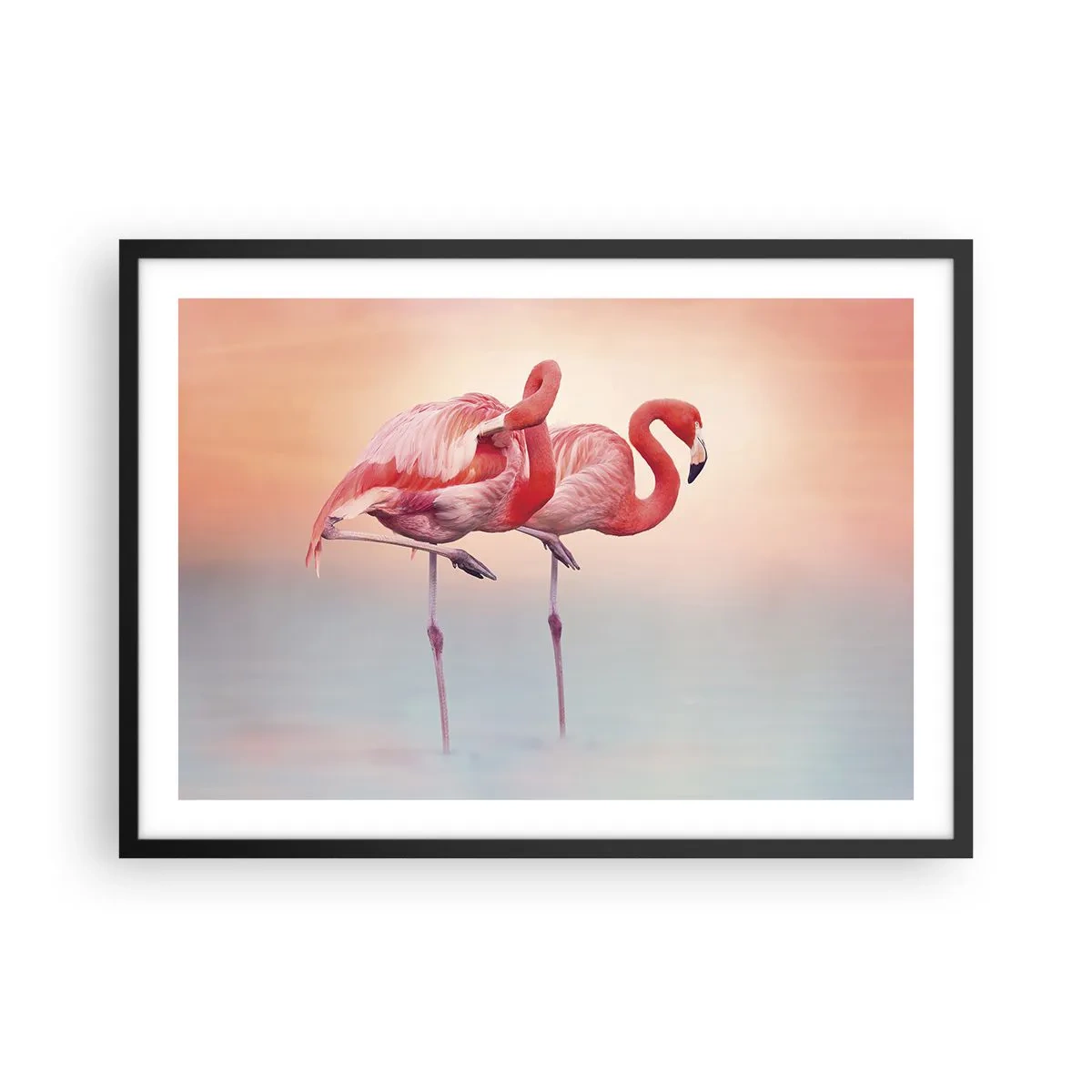 Poster in einem schwarzem Rahmen - Flamingos in zarten Pastellfarben auf Wasserhintergrund - 70x50cm - Die Farbe der untergehenden Sonne - Moderne Wanddekoration für Wohnzimmer und Schlafzimmer ARTTOR