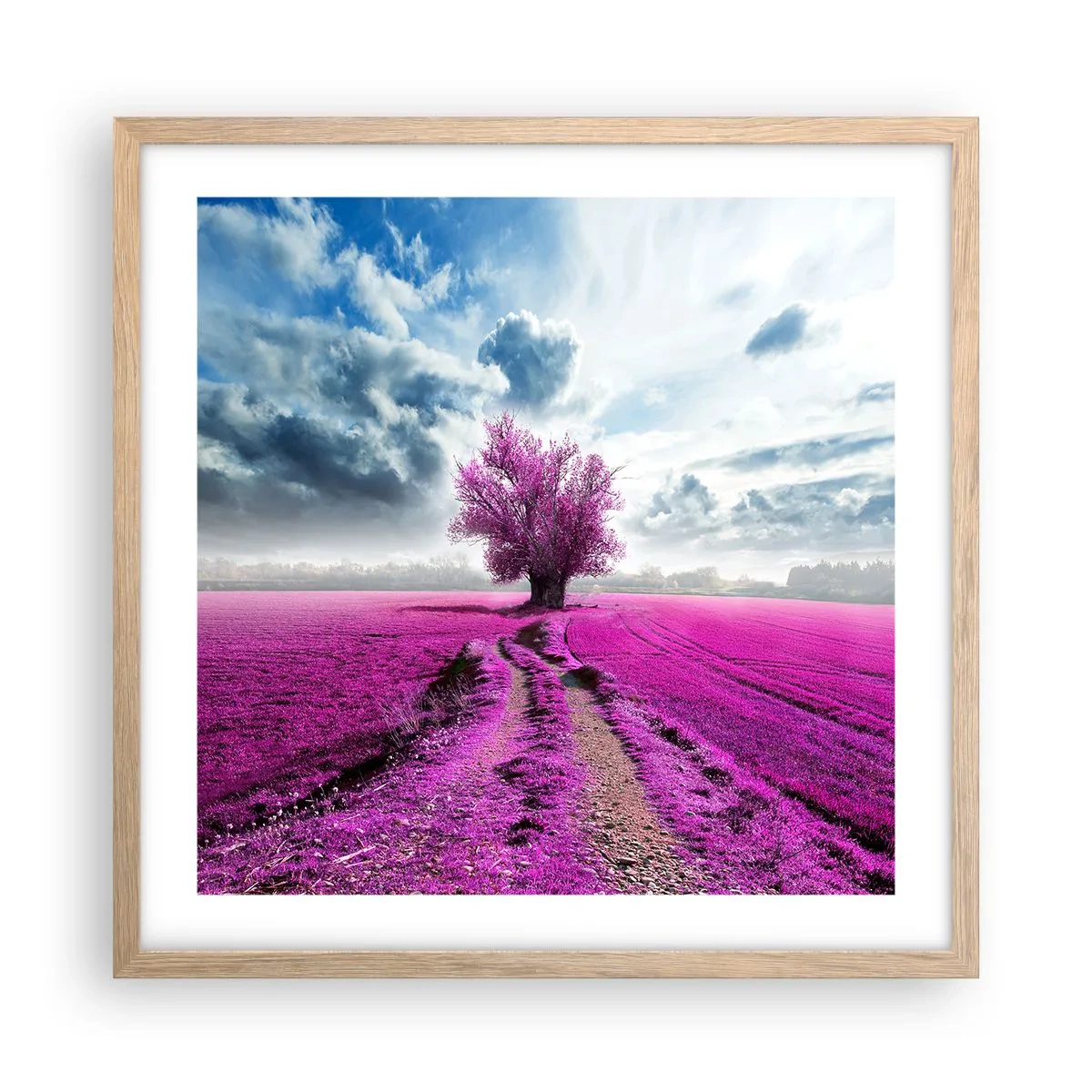 Poster in einem Rahmen aus heller Eiche - Heide - Wildnis - 50x50 cm