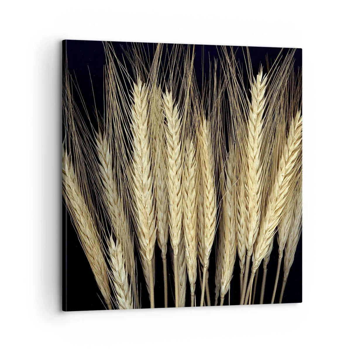 Bild auf Leinwand - Leinwandbild - Rustikale Magie - 60x60 cm