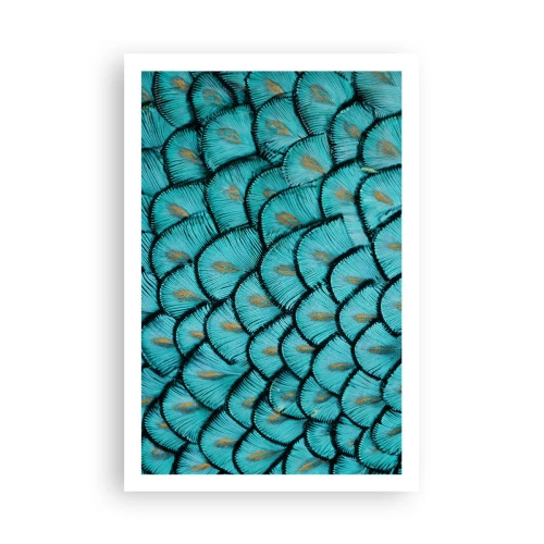 Poster - Große Federgala - 61x91 cm