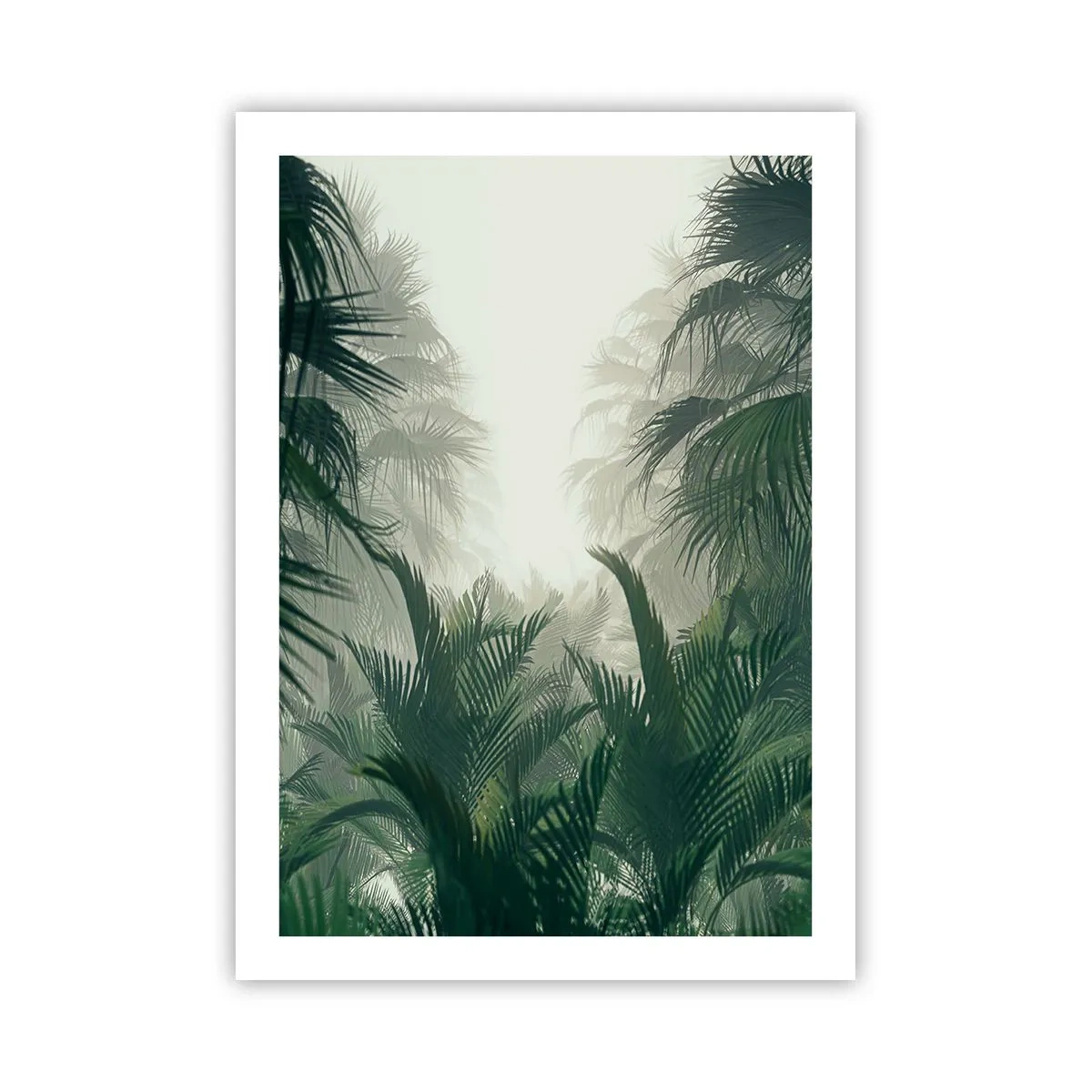 Poster - Tropische Vegetation in nebliger Umgebung - 50x70cm - Tropisches Geheimnis - Moderne Wanddekoration für Wohnzimmer und Schlafzimmer ARTTOR