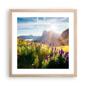 Poster in einem Rahmen aus heller Eiche - Das geheime Leben der Kräuter - 40x40 cm