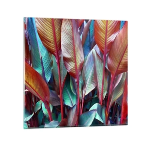 Glasbild - Bild auf glas - Buntes Dickicht - 70x70 cm