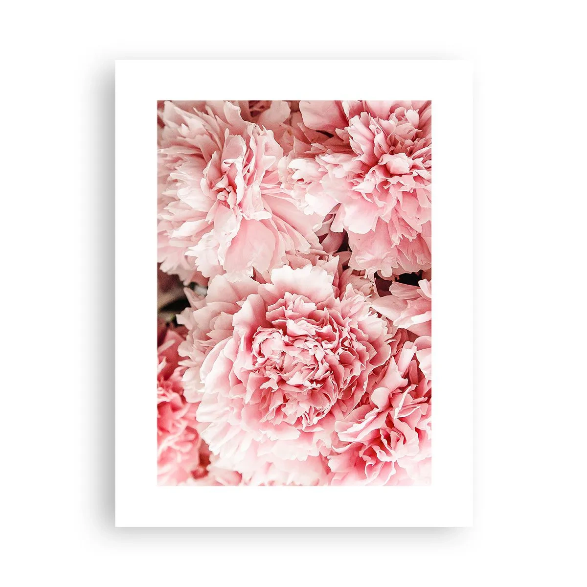 Poster - Rosa Traum - 30x40 cm