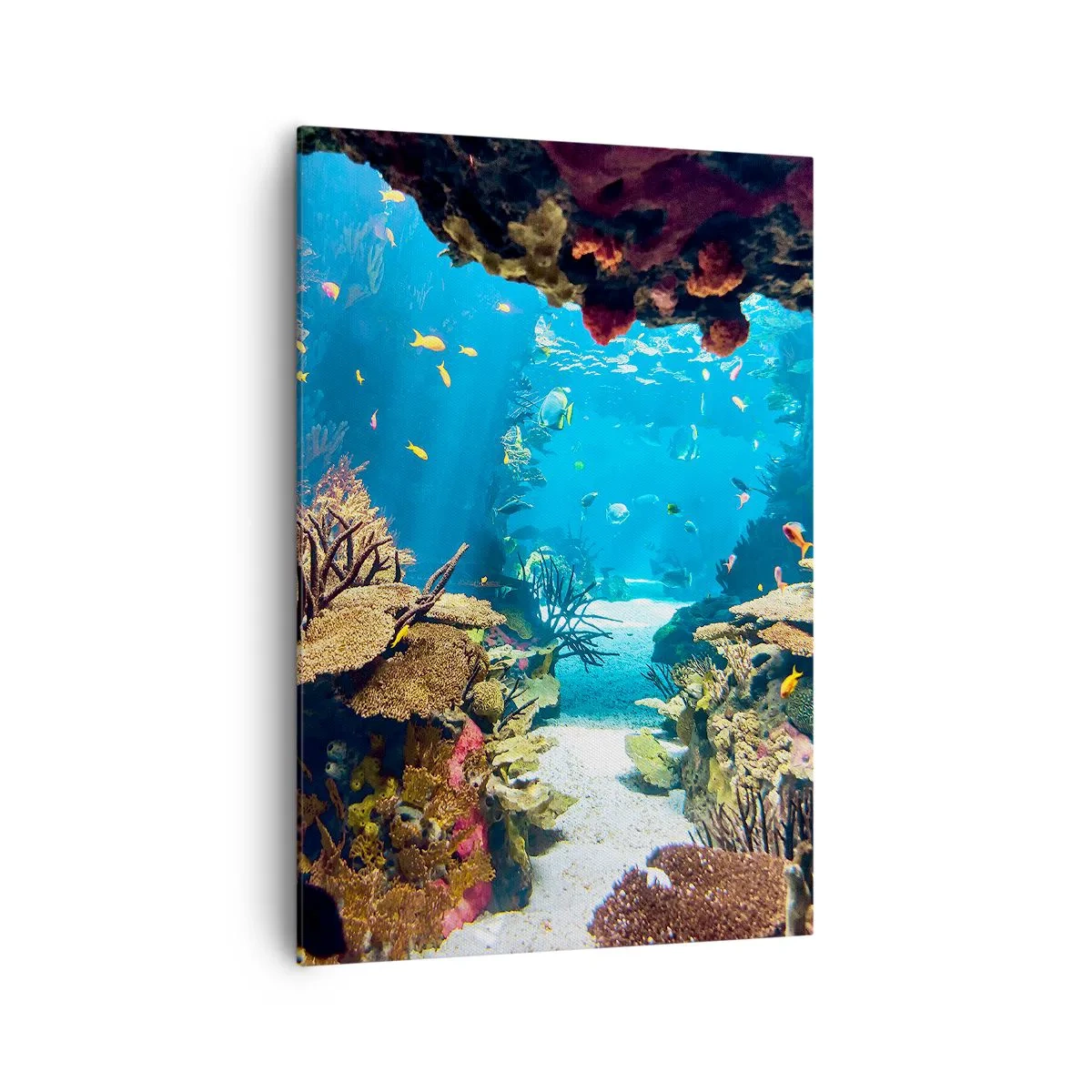 Bild auf Leinwand - Leinwandbild - Unterwasserwelt mit Korallenriff und Fischen - 70x100cm - Du hast es noch nicht einmal geträumt - Moderne Wanddekoration für Wohnzimmer und Schlafzimmer ARTTOR