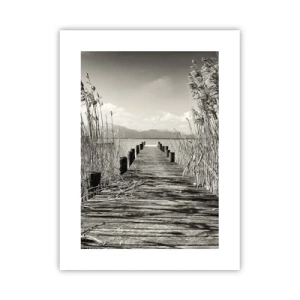 Poster - In der Stille des Grases - 30x40 cm