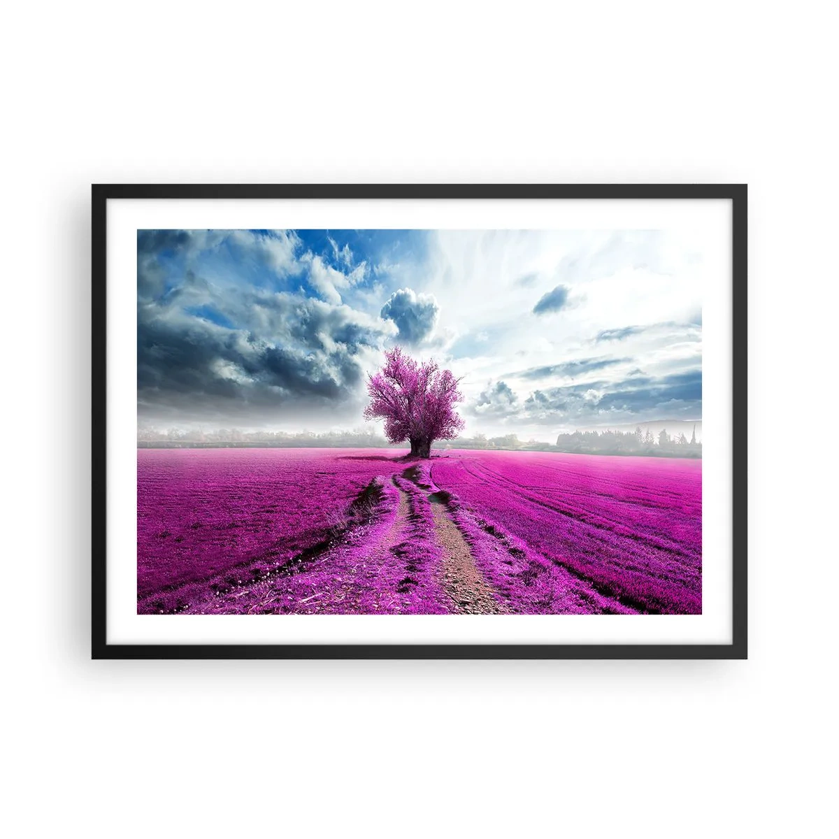 Poster in einem schwarzem Rahmen - Ein einsamer Baum auf einem Feld in einem intensiven Rosaton - 70x50cm - Heide - Wildnis - Moderne Wanddekoration für Wohnzimmer und Schlafzimmer ARTTOR