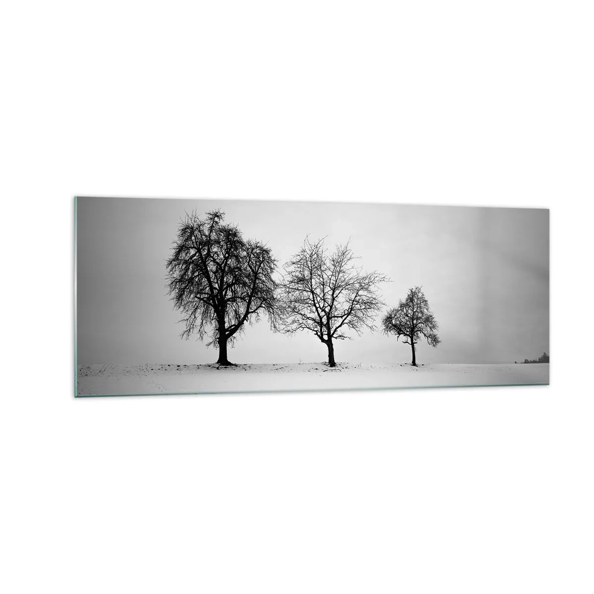 Glasbild - Bild auf glas - Drei Bäume auf einem schneebedeckten Feld im monochromen Stil - 140x50cm - Wovon träumen sie? - Moderne Wanddekoration für Wohnzimmer und Schlafzimmer ARTTOR