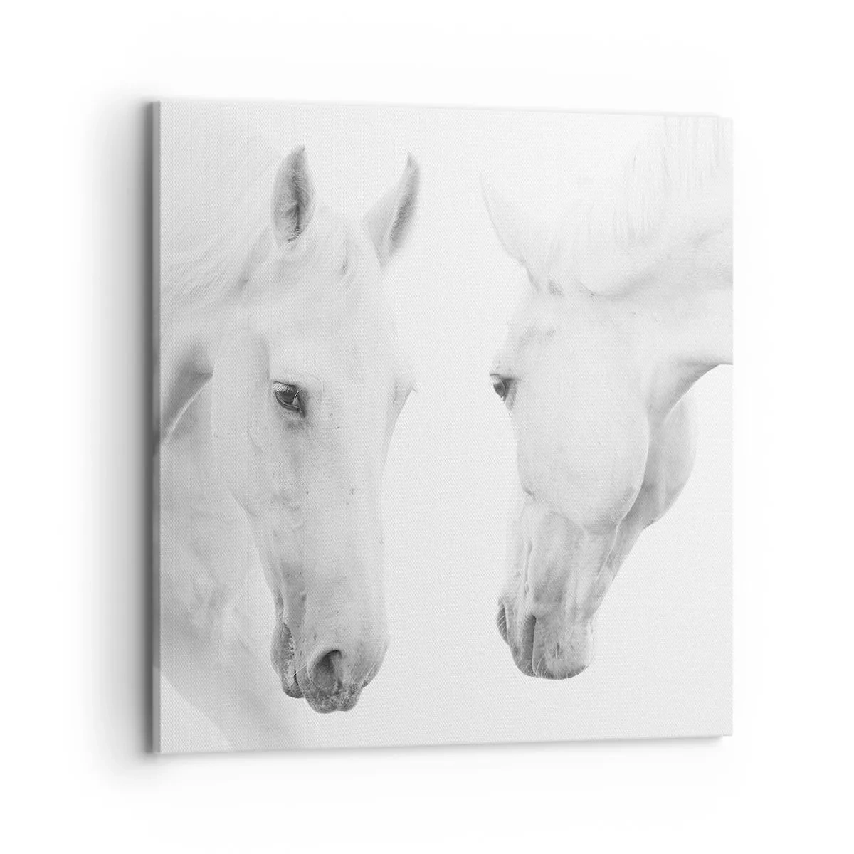 Bild auf Leinwand - Leinwandbild - Ist das Freundschaft...? - 70x70 cm