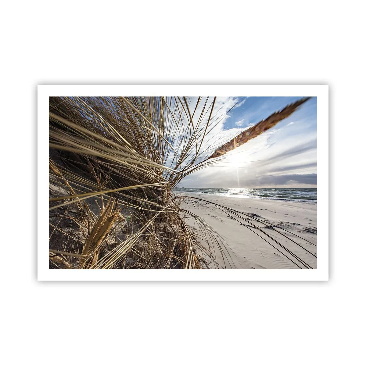 Poster - Ein Treffen der Elemente der Natur - 91x61 cm